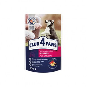 club 4 paws for puppies